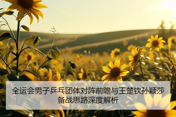全运会男子乒乓团体对阵前瞻与王楚钦孙颖莎备战思路深度解析 - PG